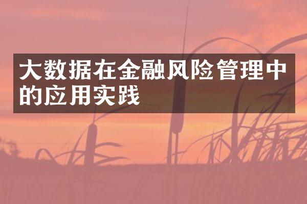 大数据在金融风险管理中的应用实践
