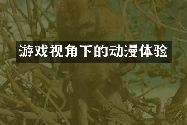 游戏视角下的动漫体验