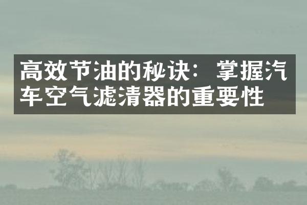 高效节油的秘诀：掌握汽车空气滤清器的重要性