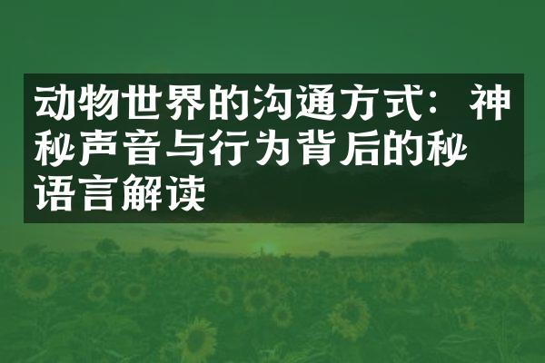 动物世界的沟通方式：神秘声音与行为背后的秘密语言解读
