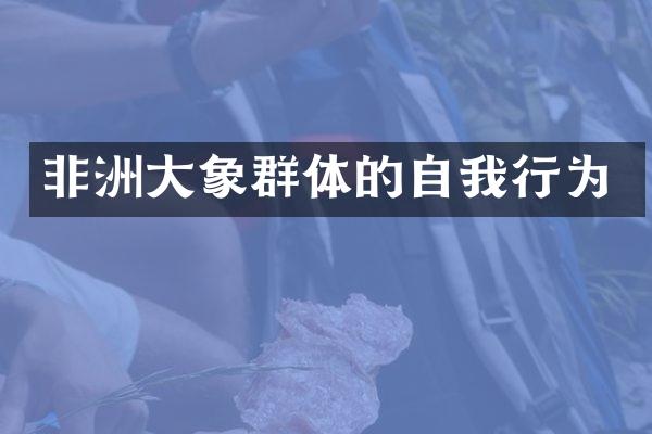 非洲大象群体的自我行为
