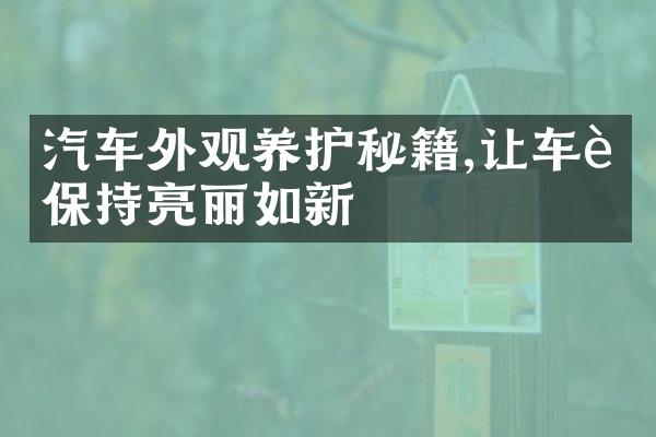 汽车外观养护秘籍,让车身保持亮丽如新