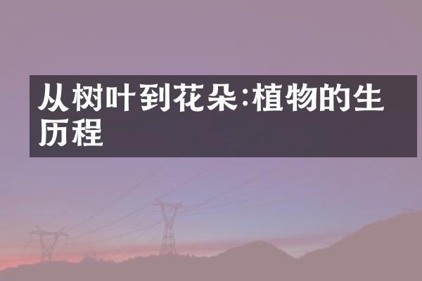 从树叶到花朵:植物的生命历程