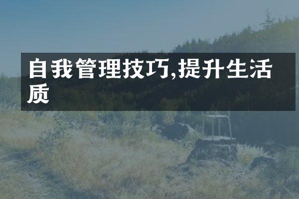 自我管理技巧,提升生活品质