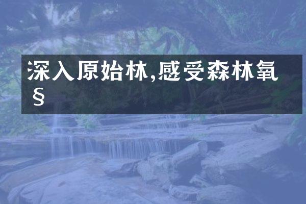 深入原始林,感受森林氧吧