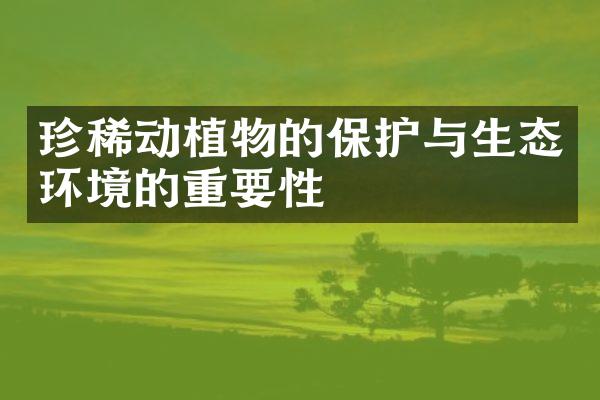 珍稀动植物的保护与生态环境的重要性