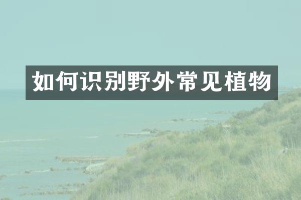 如何识别野外常见植物
