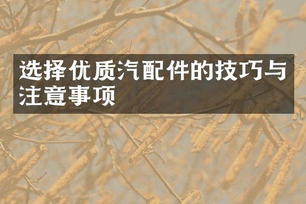 选择优质汽配件的技巧与注意事项