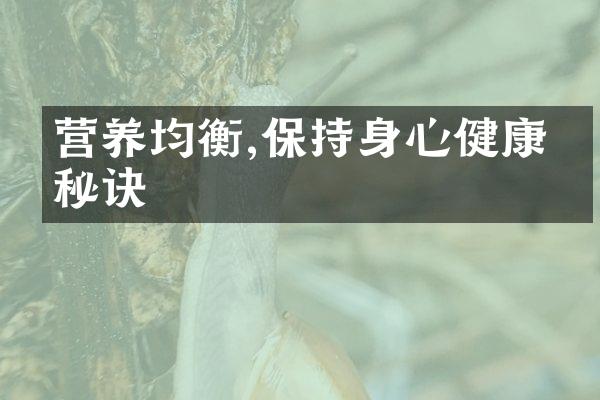 营养均衡,保持身心健康的秘诀