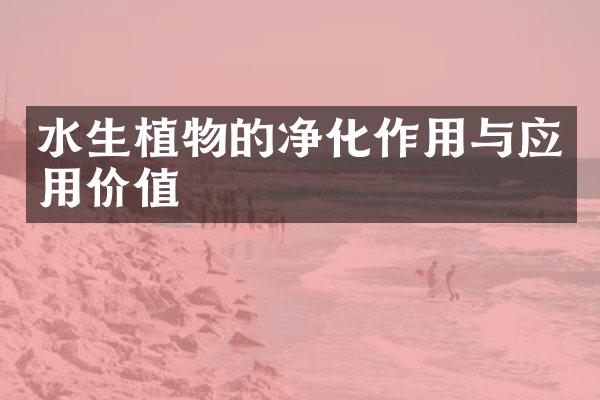水生植物的净化作用与应用价值