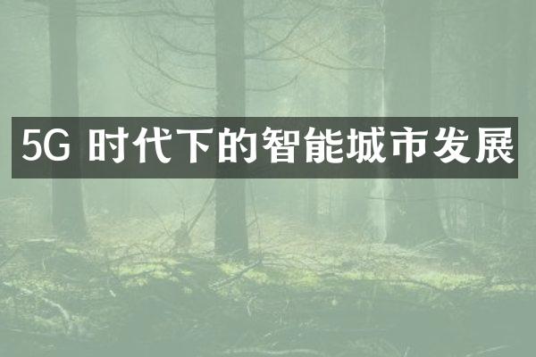 5G 时代下的智能城市发展