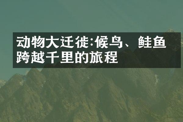 动物大迁徙:候鸟、鲑鱼的跨越千里的旅程