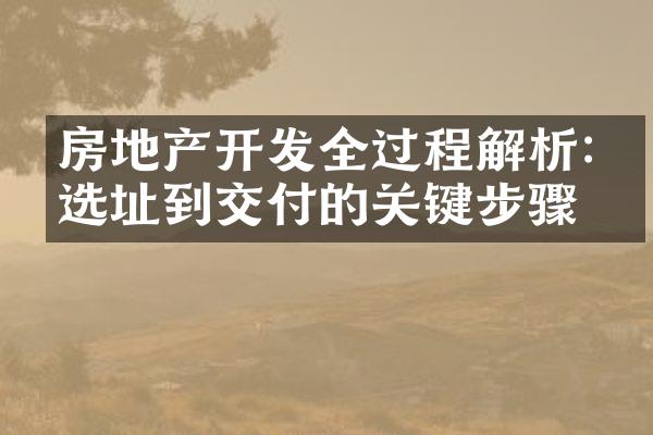房地产开发全过程解析:从选址到交付的关键步骤
