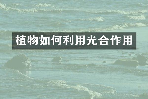 植物如何利用光合作用