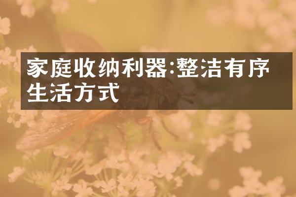 家庭收纳利器:整洁有序的生活方式