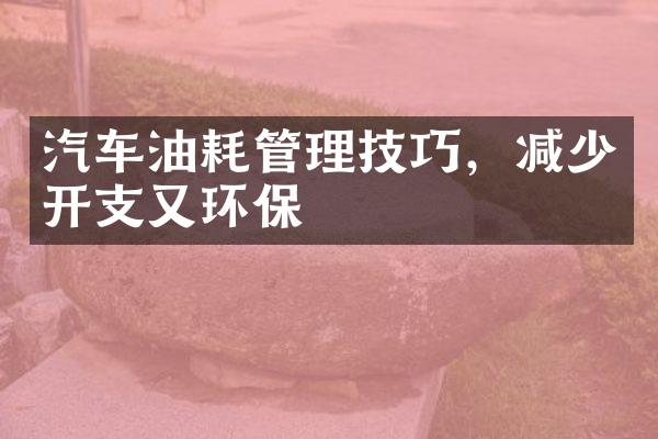 汽车油耗管理技巧，减少开支又环保