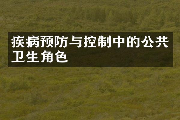疾病预防与控制中的公共卫生角色