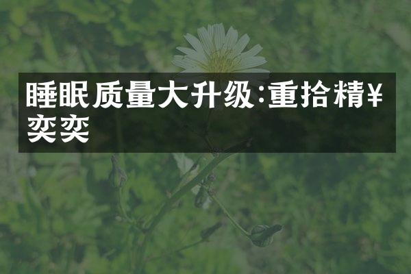 睡眠质量大升级:重拾精神奕奕