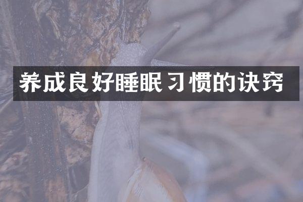 养成良好睡眠习惯的诀窍