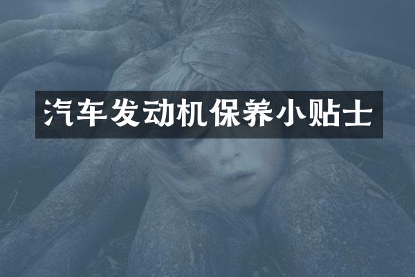 汽车发动机保养小贴士