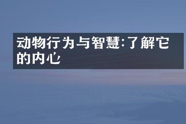 动物行为与智慧:了解它们的内心