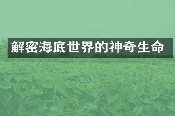 解密海底世界的神奇生命