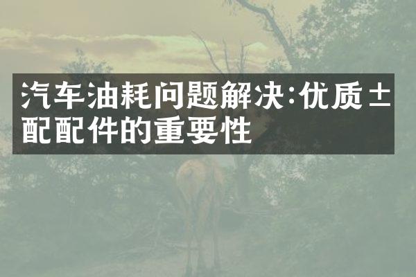 汽车油耗问题解决:优质汽配配件的重要性