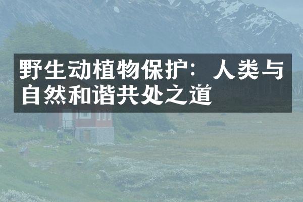野生动植物保护：人类与自然和谐共处之道