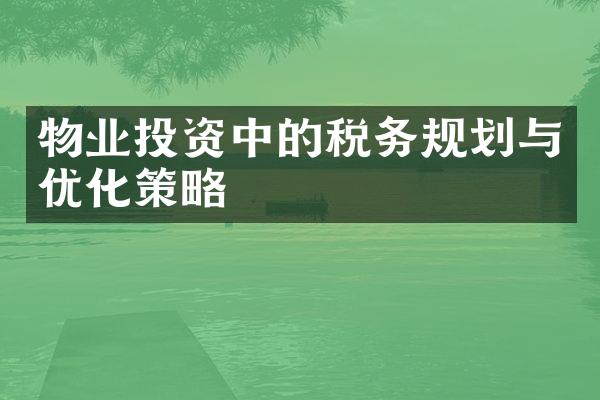 物业投资中的税务规划与优化策略