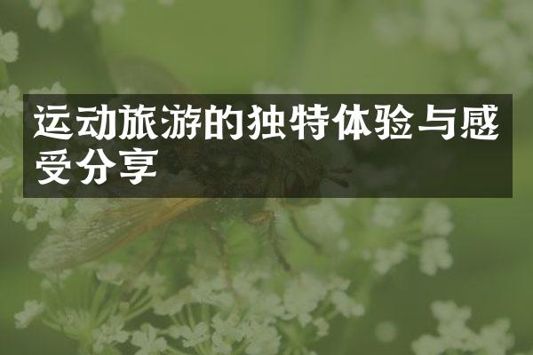 运动旅游的独特体验与感受分享