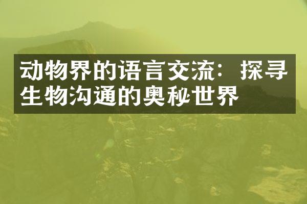 动物界的语言交流：探寻生物沟通的奥秘世界