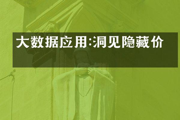 大数据应用:洞见隐藏价值