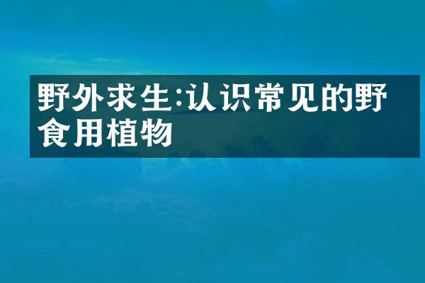 野外求生:认识常见的野生食用植物