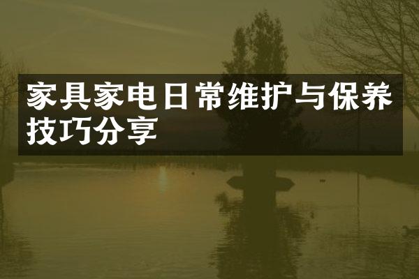 家具家电日常维护与保养技巧分享