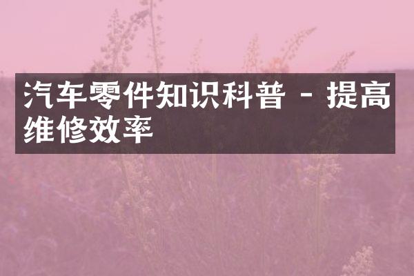 汽车零件知识科普 - 提高维修效率