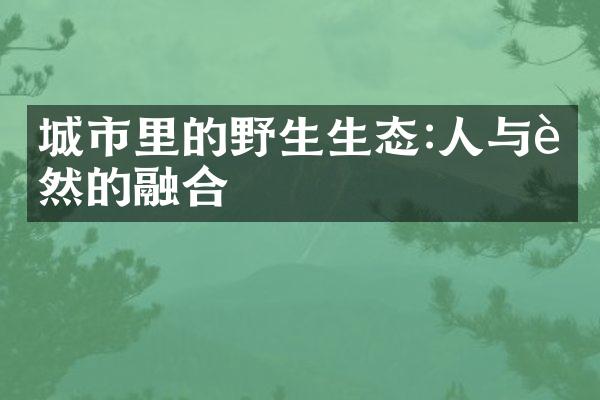城市里的野生生态:人与自然的融合