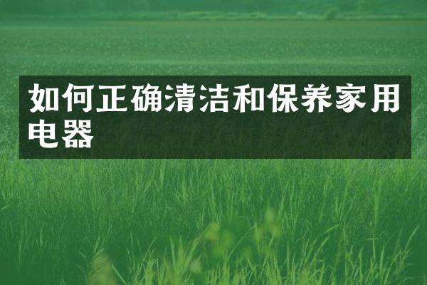 如何正确清洁和保养家用电器