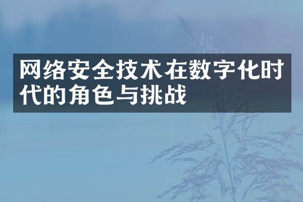 网络安全技术在数字化时代的角色与挑战