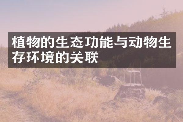植物的生态功能与动物生存环境的关联
