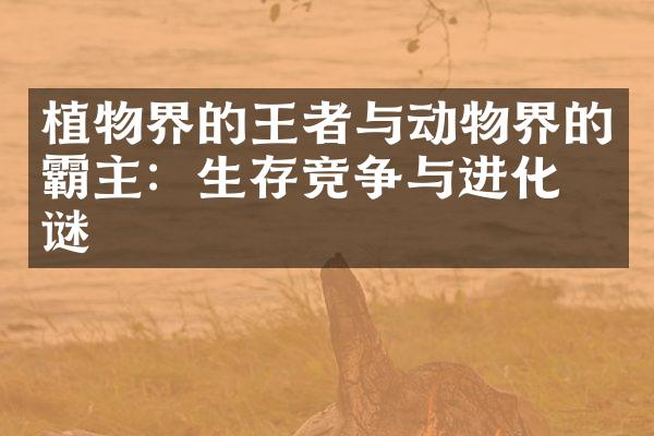植物界的王者与动物界的霸主：生存竞争与进化之谜