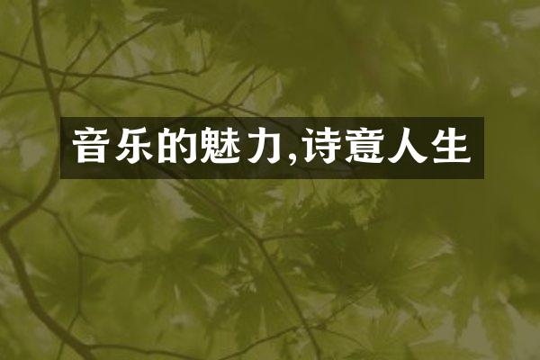 音乐的魅力,诗意人生
