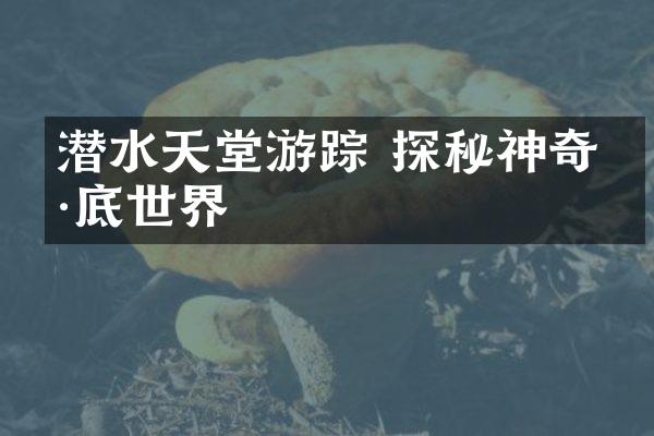 潜水天堂游踪 探秘神奇海底世界