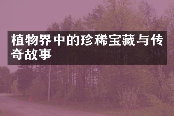 植物界中的珍稀宝藏与传奇故事