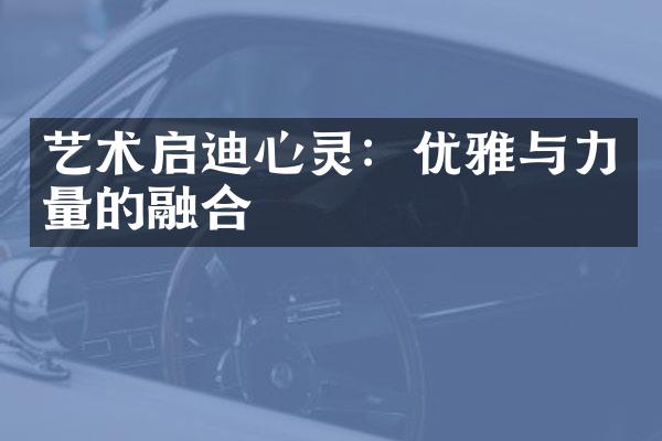 艺术启迪心灵：优雅与力量的融合