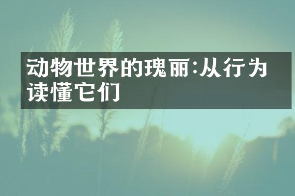 动物世界的瑰丽:从行为中读懂它们