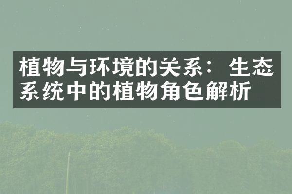 植物与环境的关系：生态系统中的植物角色解析