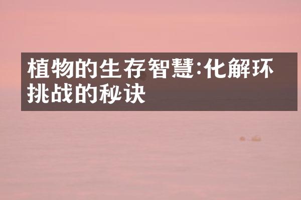 植物的生存智慧:化解环境挑战的秘诀