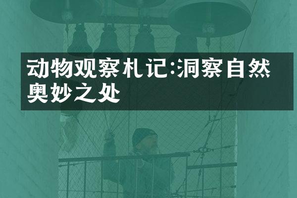 动物观察札记:洞察自然的奥妙之处