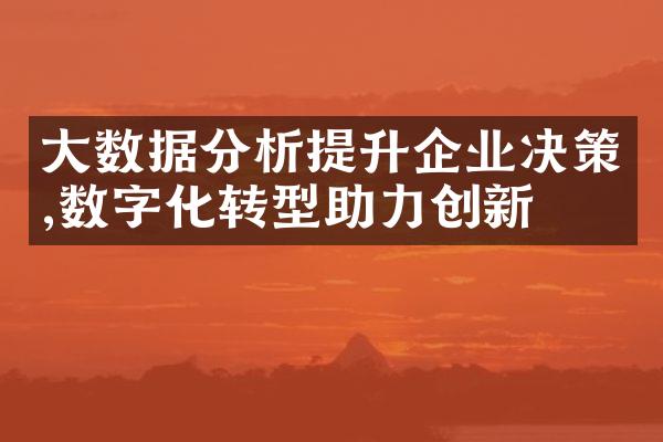 大数据分析提升企业决策,数字化转型助力创新