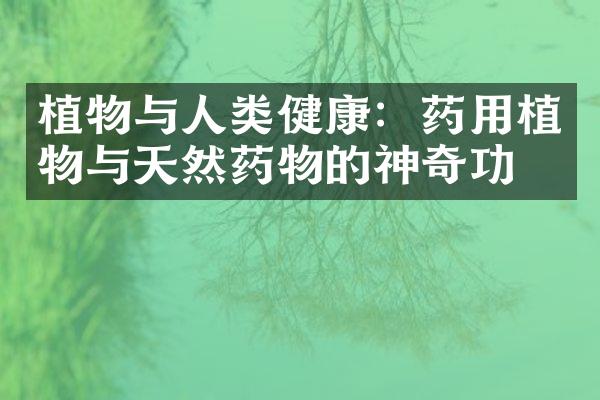 植物与人类健康：药用植物与天然药物的神奇功效